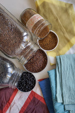 Primary Colors Natural Dye Seeds : 3 Varieties Red, Yellow, Blue